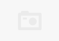 Aristopet Flea Powder 200 Gm