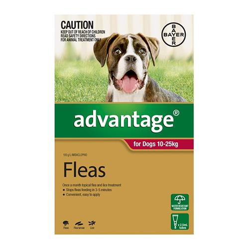 Advantage For Dogs 10-25Kg Red 1 Pack