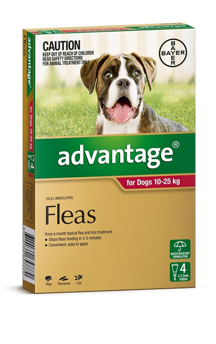 Advantage Spot-On Flea Control Treatment for Dogs 10-25kg - 4 pack