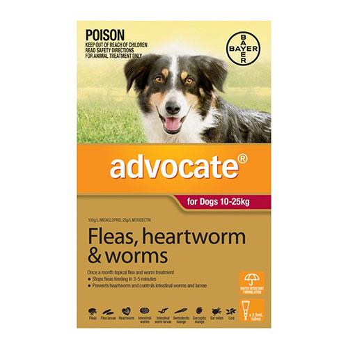 Advocate Dog Large Red 1 Pack