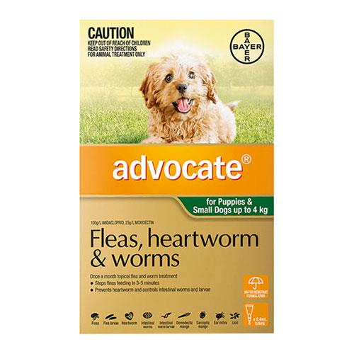 Advocate Dog Small Green 1 Pack