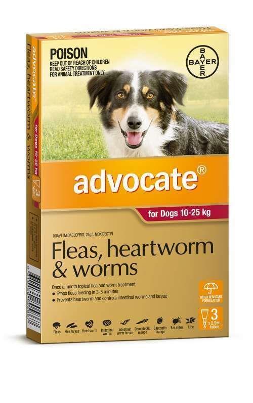 Advocate Spot-On Flea & Worm Control for Dogs 10-25kg - 3 Pack