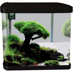 Aqua One Lifestyle 29 Glass Aquarium 29l Black~