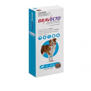 Bravecto Large Dog Blue 2 X 2 Pack