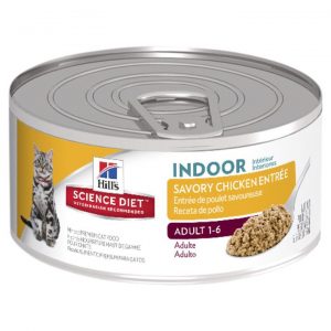 Hills Science Diet Adult Indoor Savory Chicken Entre Cat Food 156g x 24 Cans