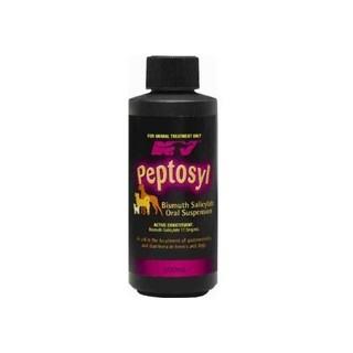 Nature Vet Peptosyl Suspension for Dogs and Horses 200ml