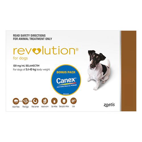 Revolution Dog Brown 3 Pack