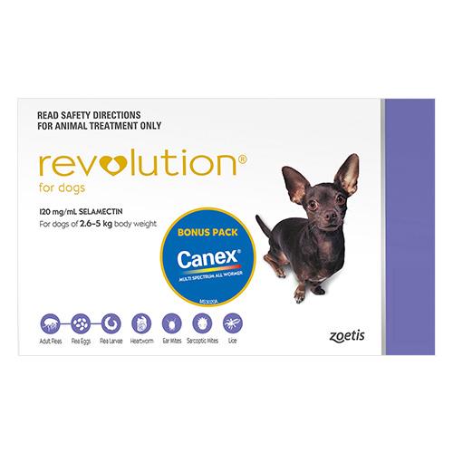 Revolution Dog Purple 3 Pack