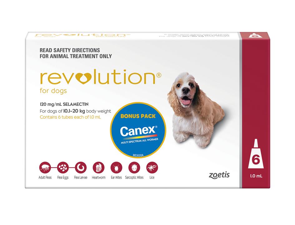 Revolution Flea Control for Dogs 10.1-20kg Bonus All Wormer 6pk