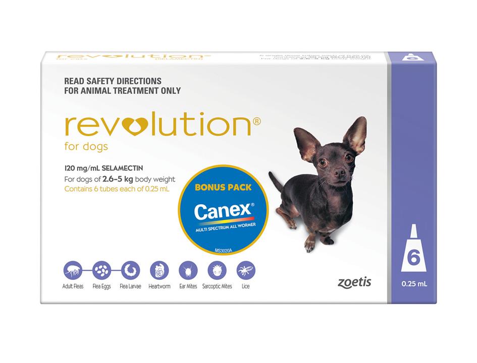 Revolution Flea Control for Dogs 2.6-5kg Bonus All Wormer 6 Pack
