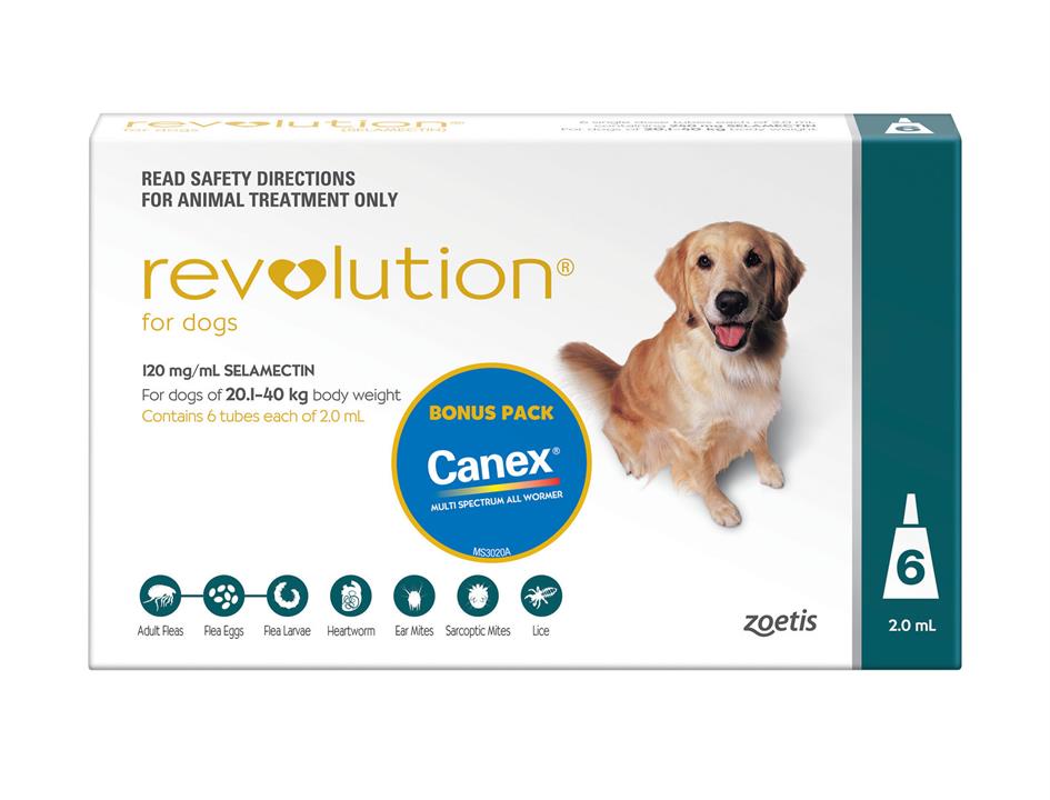 Revolution Flea Control for Dogs 20.1-40kg w/ All Wormer - 6 Pack