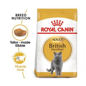 Royal Canin Feline British Shorthair 4kg