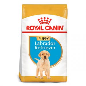 Royal Canin Labrador Junior (puppy) 12kg