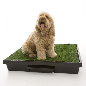 The Original Pet Loo for Indoor or Outdoor Use - Small