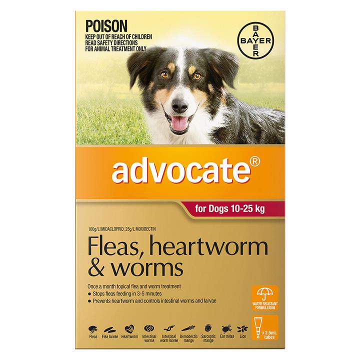 Advocate For Dogs 10 To 25 Kg (Large Dogs) Red 12 Doses