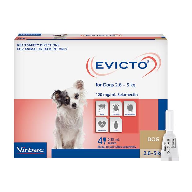 Evicto For Very Small Dogs 4 Pack