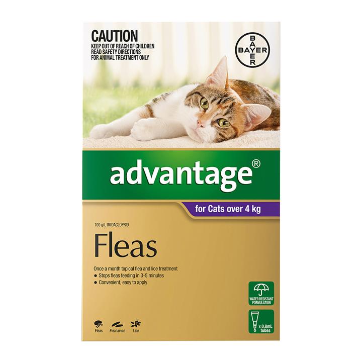 Advantage For Cats Over 4kg (Purple) 4 Doses