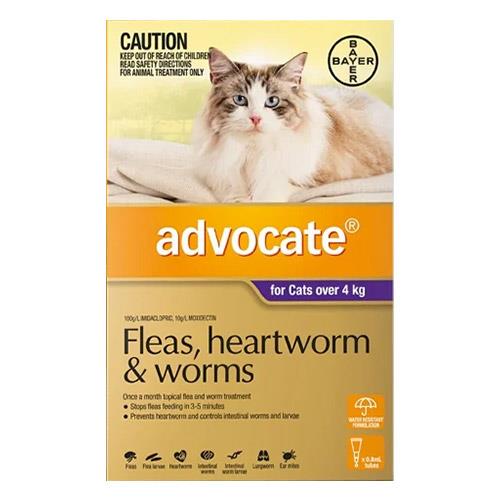 Advocate For Cats Over 4kg (Purple) 3 Doses