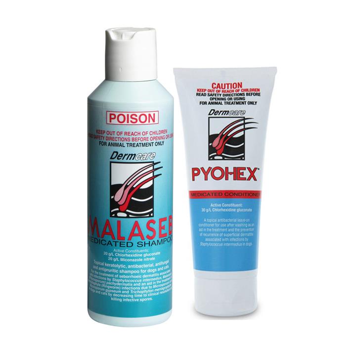 Dermcare Pyohex Combo Pack (Pyohex Shampoo 250ml & Pyohex Conditioner 100ml) 1 Pack