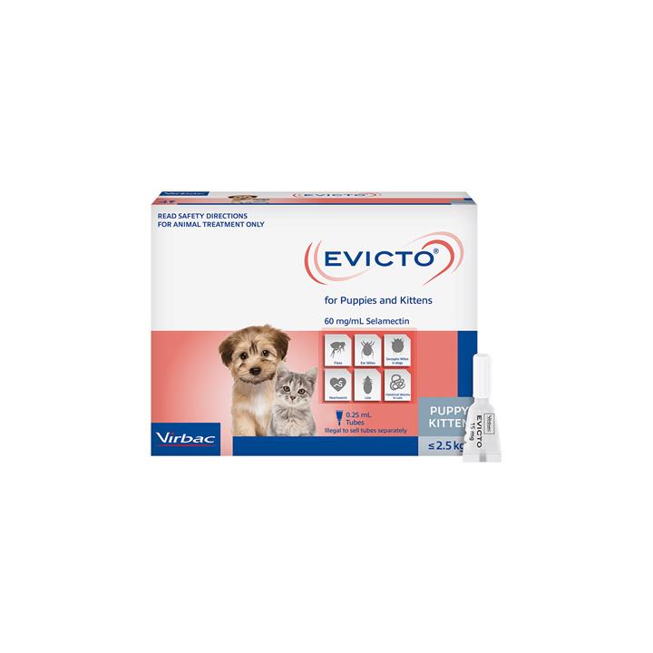 Evicto Spot-On For Kittens 2.5kg (Grey) 4 Pack