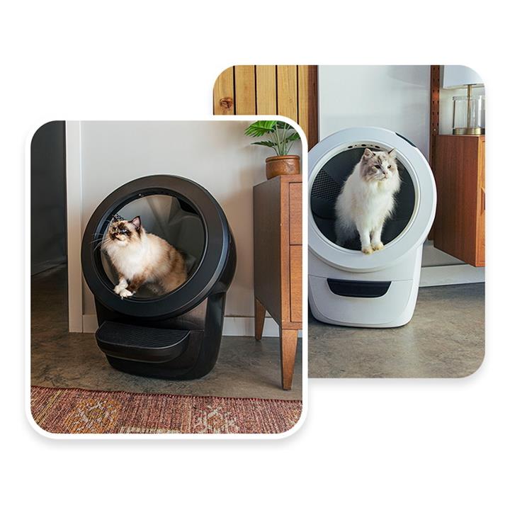 Cheapest deals litter robot