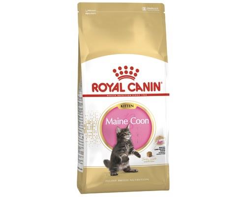 Royal Canin Maine Coon Kitten 2kg