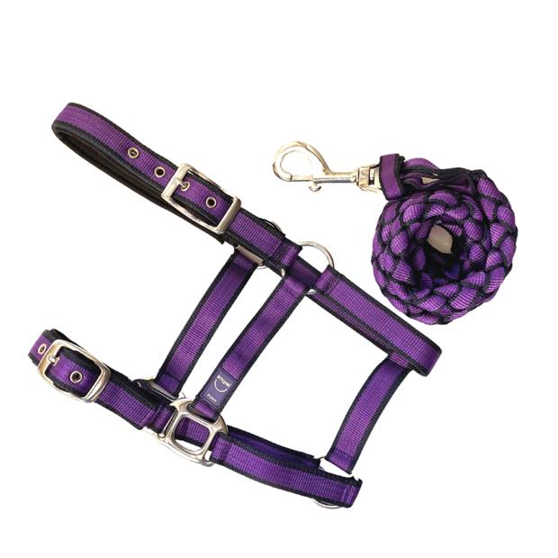 Anipal Comfort Horse Halter And Lead Autumn Lilac Pony