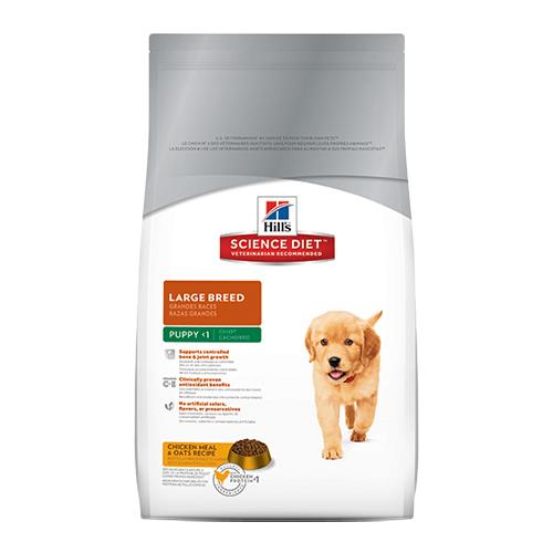 Hill's Science Diet Puppy Large Breed Chicken & Oats Dry Dog Food 12 Kg