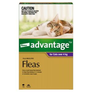 Advantage Cat Large Purple
