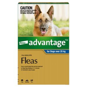Advantage Dog Extra Large Blue