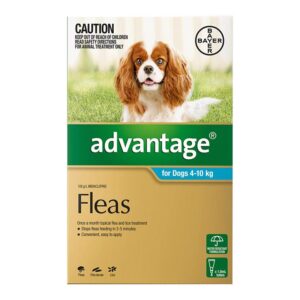 Advantage For Medium Dogs 4 To 10kg (Aqua) 12 Doses