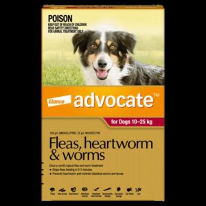 Advocate Dog Large Red