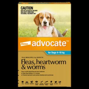 Advocate Dog Medium Aqua