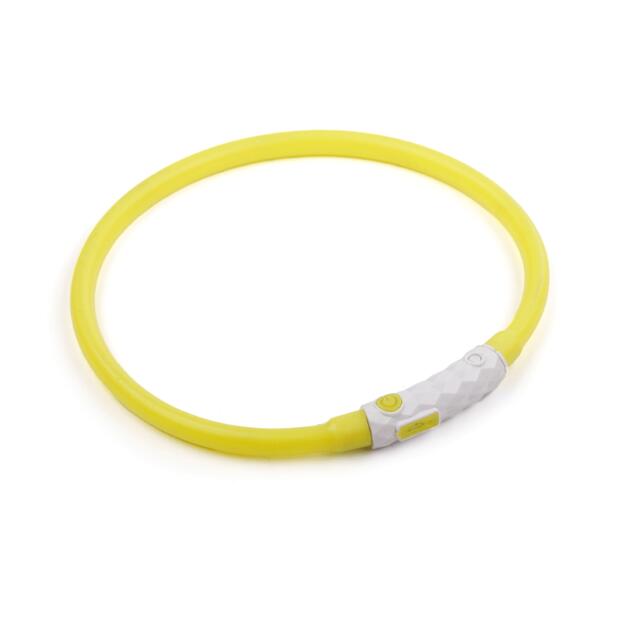 Afp K Nite Light Collar