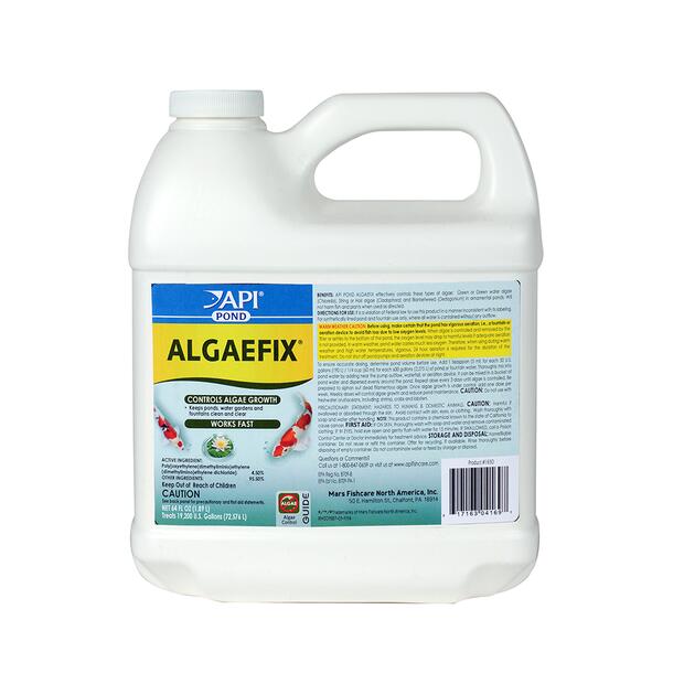Api Pond Algae Control – Sniff Out