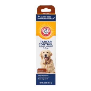 Arm And Hammer Tartar Control Enzymatic Toothpaste For Dogs Beef