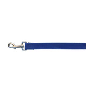 Beau Pets Webbing Lead - Blue 25 Mm X 120cm
