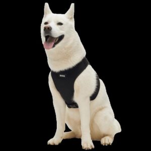Boss Dog Core Walk Harness Black