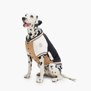 Boss Dog Varsity Bomber Beige