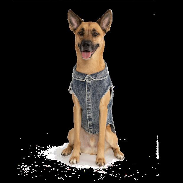 Canada Pooch Downtown Denim Vest Dog Blue