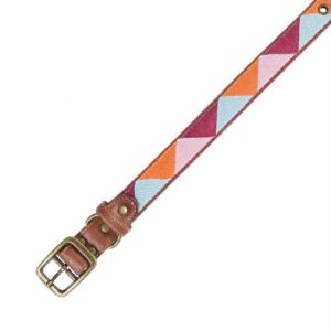 Cara Pet Lyon Dog Collar Extra Large