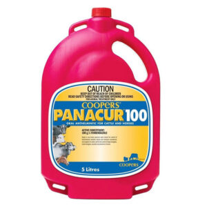 Coopers Panacur 100 Oral Anthelminitic For Cattle & Horses 5 Litres