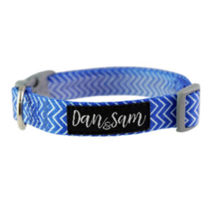 Dan & Sam Adjustable Polyester Webbing Collar For Dogs - Ziggy 1 X Large