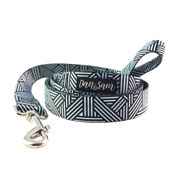 Dan & Sam Polyester Webbing Lead For Dogs - Abstract 2.5 X 150cm - Large