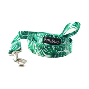 Dan & Sam Polyester Webbing Lead For Dogs - Lahana 1.5 X 150cm - Small