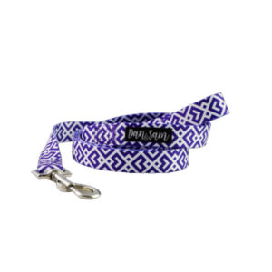 Dan & Sam Polyester Webbing Lead For Dogs - Purple Delight 2.5 X 150cm - Large