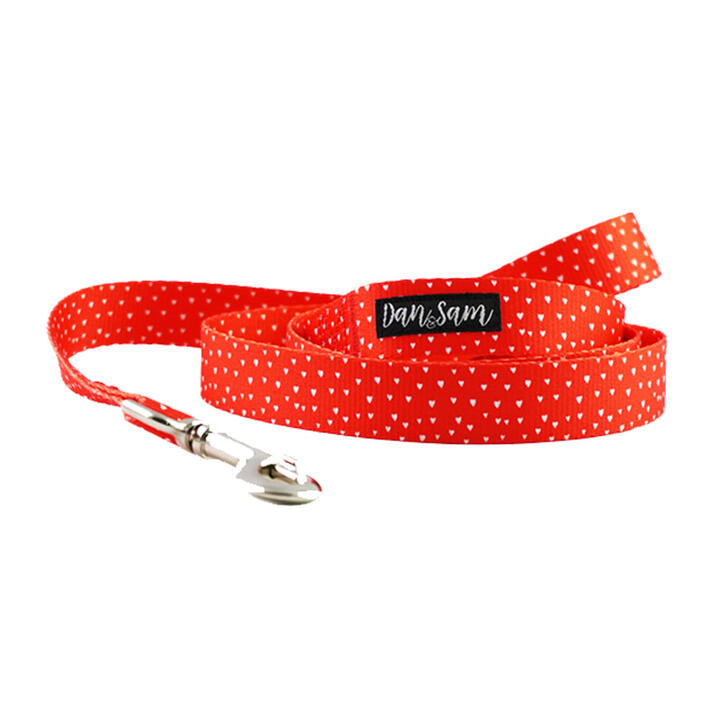 Dan & Sam Polyester Webbing Lead For Dogs - Raining Hearts 2.5 X 150cm - Large