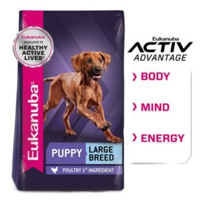 Eukanuba Puppy Large Breed Dry Dog Food