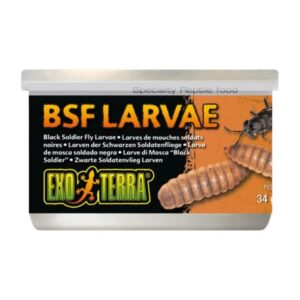 Exo Terra Canned Black Soldier Fly Larvae Specialty Reptile Food