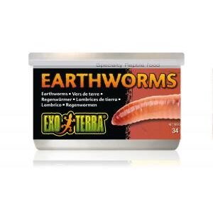 Exo Terra Canned Earthworms Specialty Reptile Food